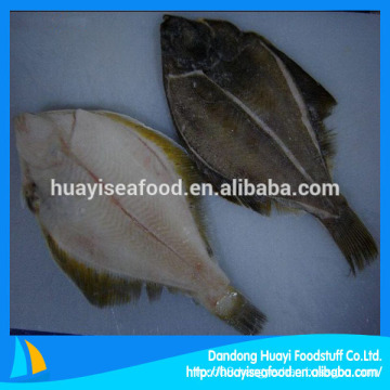 flounder fish new supplier